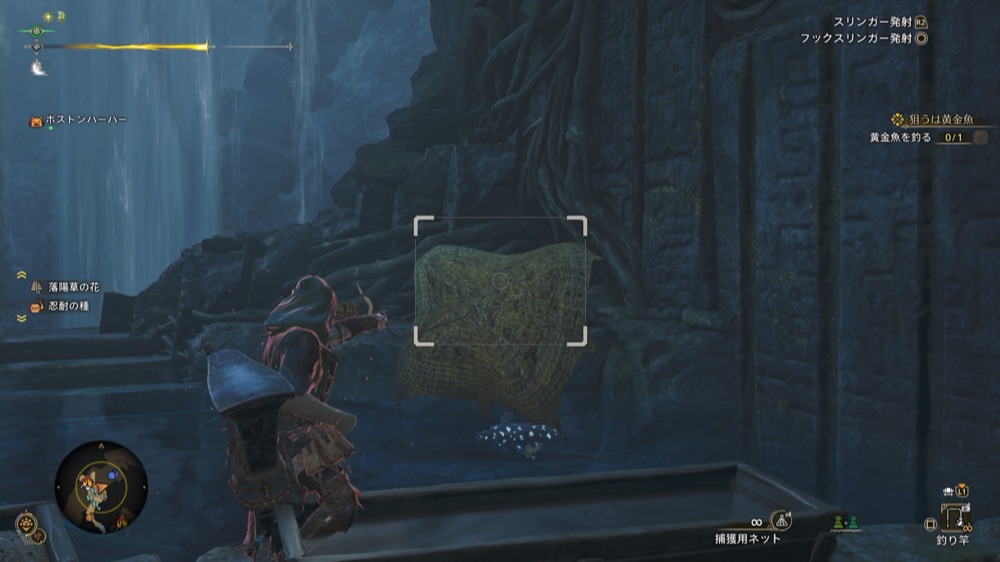 ブラインドパーチ捕まえ方