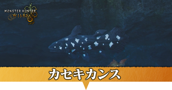 カセキカンスはどこにいる？捕獲方法