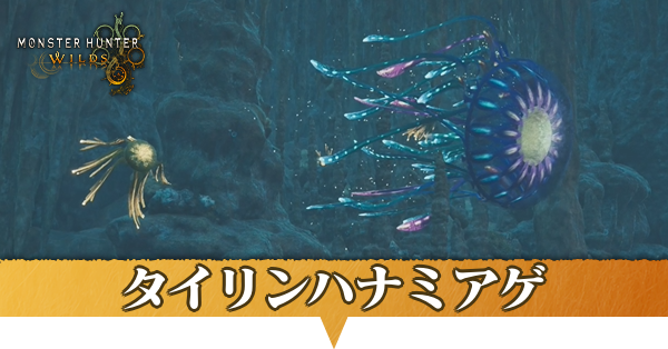 タイリンハナミアゲはどこにいる？捕獲方法