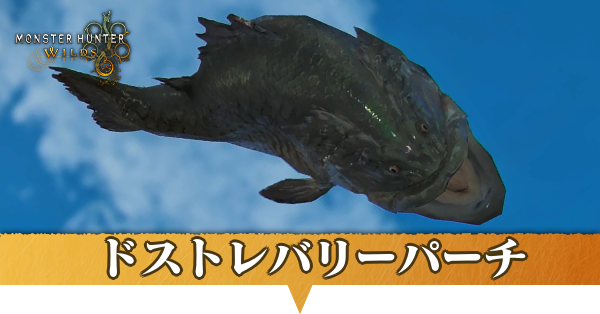 ドストレバリーパーチはどこにいる？捕獲方法