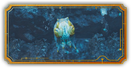 レア環境生物一覧