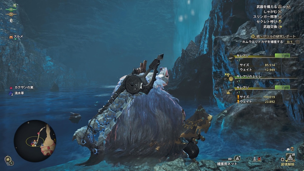 キレアジの上ヒレ