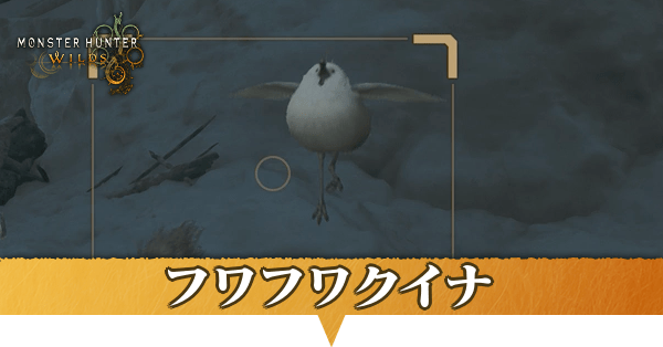 フワフワクイナはどこにいる？捕獲方法