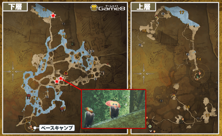 緋の森ケンランプテルス