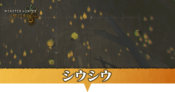 シウシウはどこにいる？捕獲方法