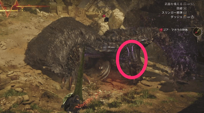 ゴアマガラの角