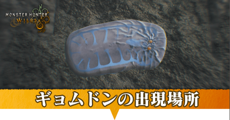 ギョムドンはどこにいる？捕獲方法