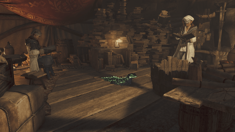 環境生物の飾り方