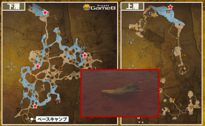 ハレツアロワナ緋の森マップ