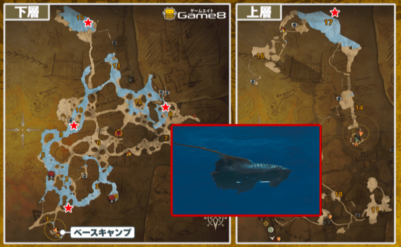 バクレツアロワナ緋の森マップ