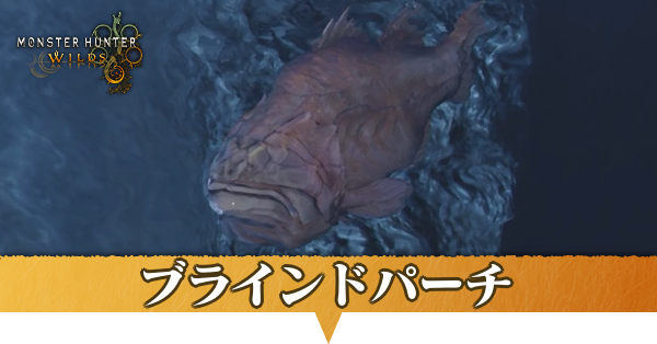 ブラインドパーチはどこにいる？捕獲方法