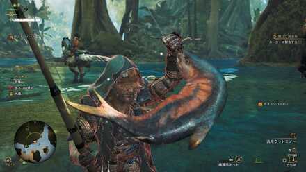 釣りで捕まえられる