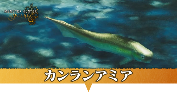 カンランアミアはどこにいる?捕獲方法
