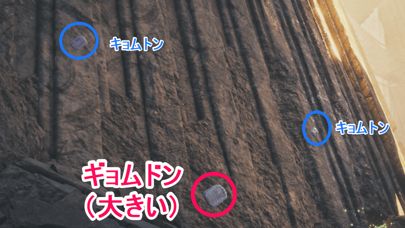 ギョムドンの見た目