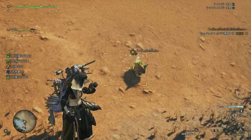 捕獲用ネットを使う