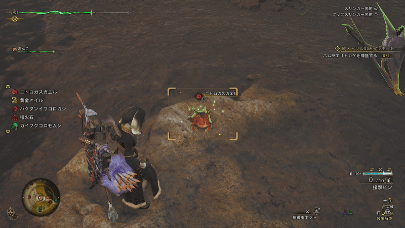 ネットで捕まえる