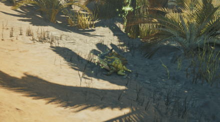 シビレガスガエルの効果と使い方