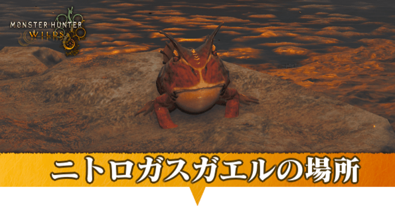 ニトロガスガエルはどこにいる?捕獲方法