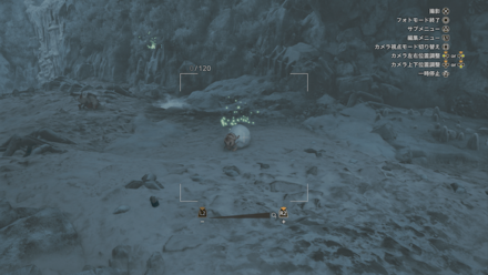 ユキダマコガネの効果と使い方