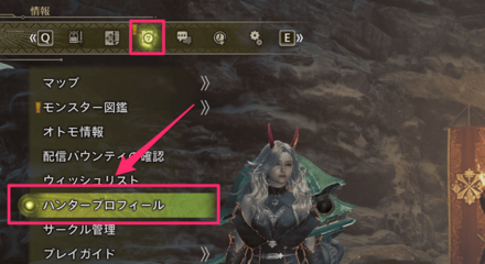 ハンタープロフィールの開き方