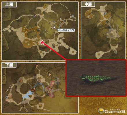 ホムラエリトカゲの場所マップ1