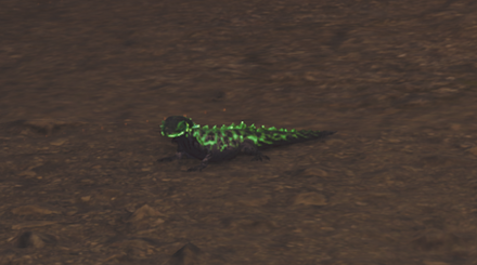 ホムラエリトカゲの効果と使い方