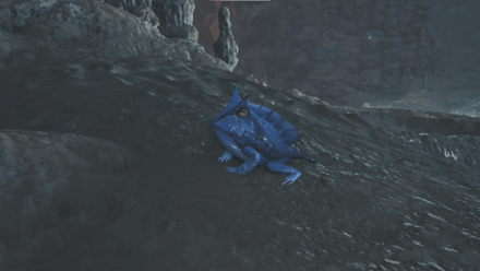 ネムリガスガエルの効果と使い方