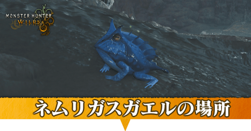 ネムリガスガエルはどこにいる？捕獲方法