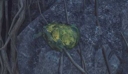 カイフクコロモムシ見た目