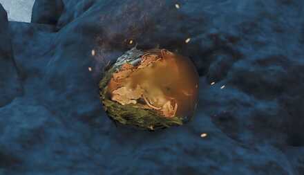 ホカホカコロモムシの効果と使い方