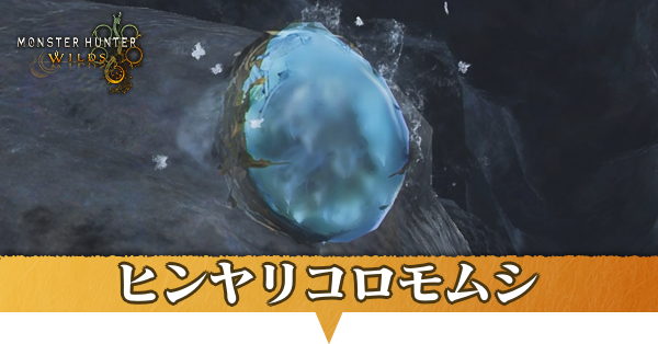 ヒンヤリコロモムシはどこにいる？捕獲方法