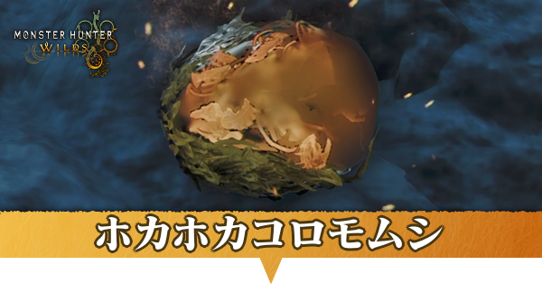 ホカホカコロモムシはどこにいる？捕獲方法