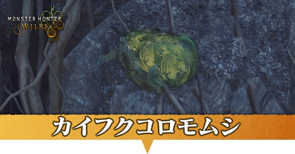 カイフクコロモムシはどこにいる？捕獲方法