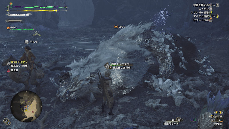 結晶化した護竜の死体