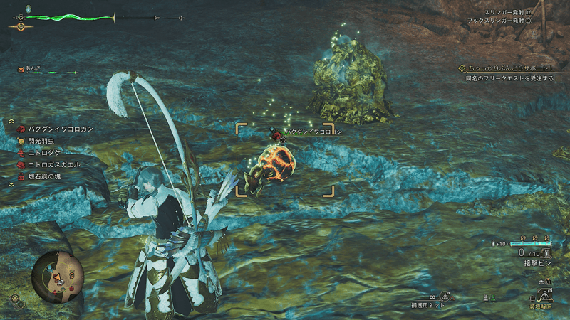 ネットで捕まえる