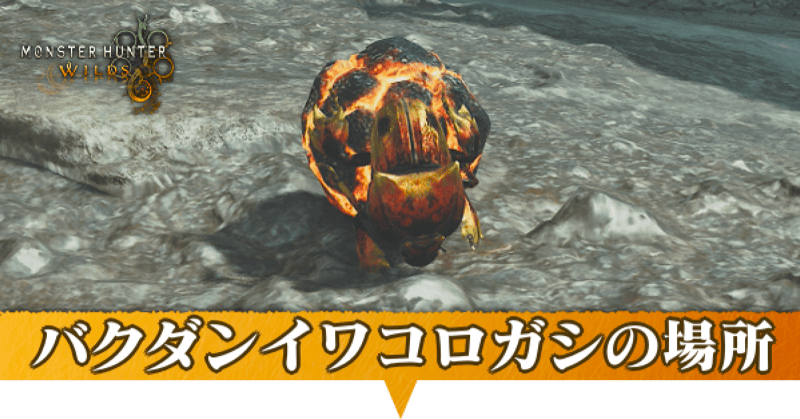 バクダンイワコロガシはどこにいる？捕獲方法