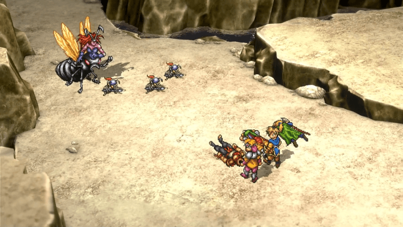 クイーンアント