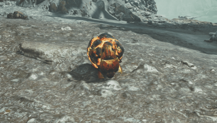 バクダンイワコロガシの効果と使い方