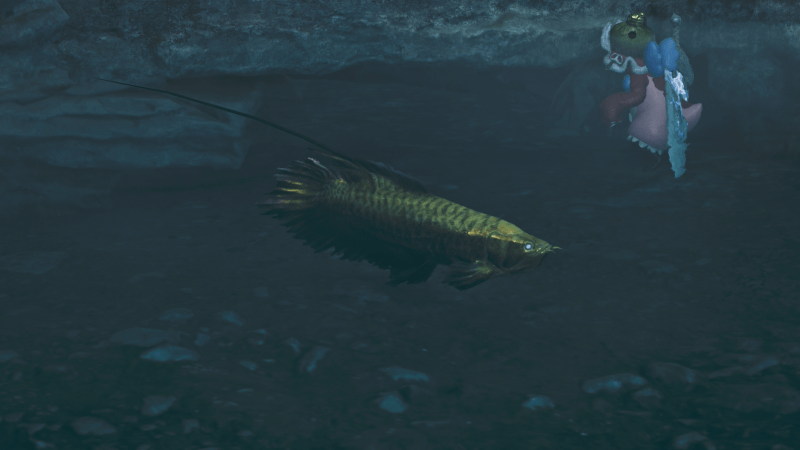 黄金魚の効果と使い方