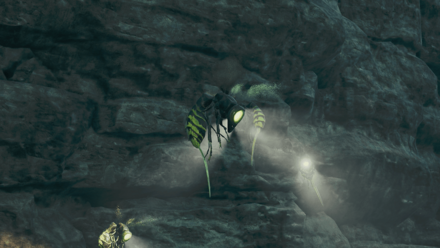 ヤミテラシバチの効果と使い方