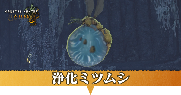 浄化ミツムシはどこにいる？捕獲方法