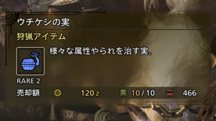 ウチケシの実