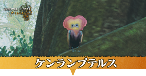 ケンランプテルスはどこにいる？捕獲方法