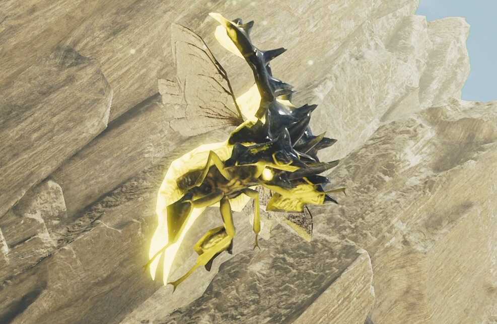 楔虫の効果と使い方