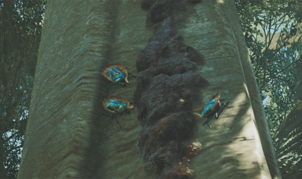 ジュエルコガネの効果と使い方