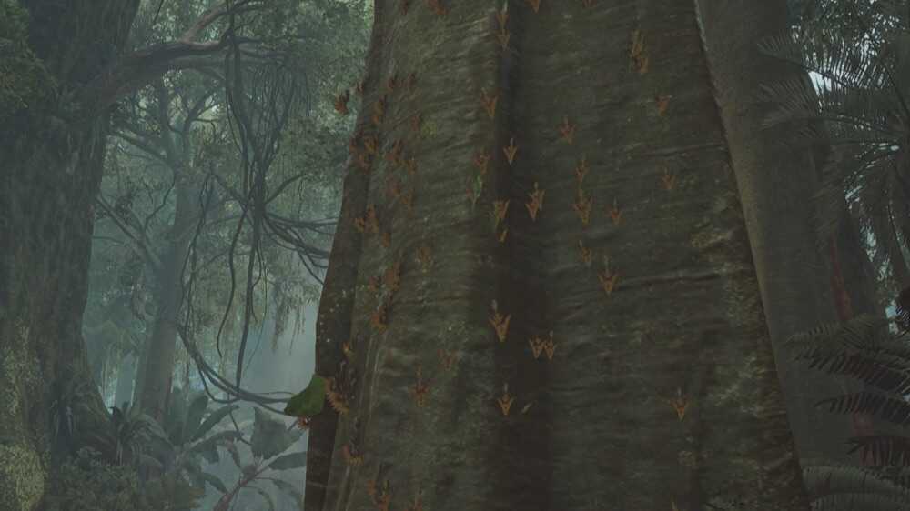 コノハコビアリの効果と使い方