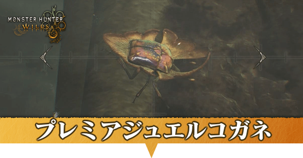 プレミアジュエルコガネはどこにいる？捕獲方法