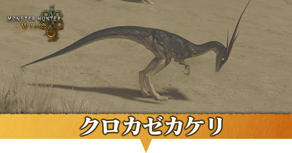 クロカゼカケリ