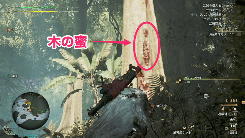 木の蜜がある箇所に集まる