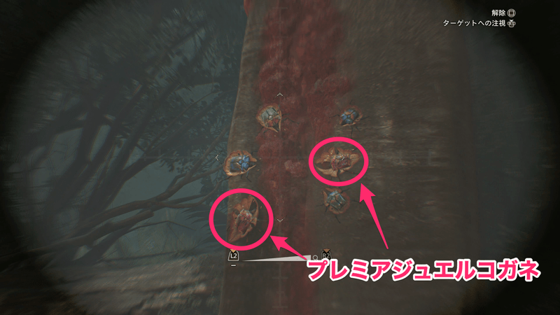 木の蜜に集まっている様子